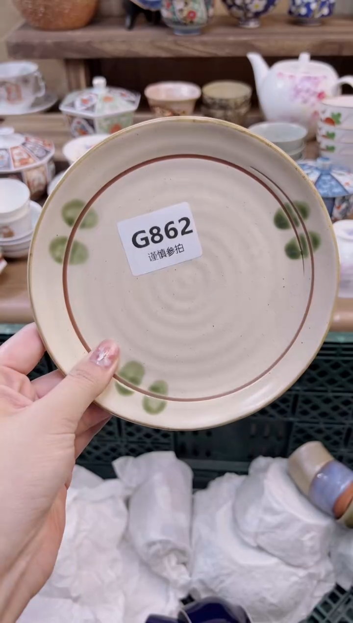 瓷片湘****南          862