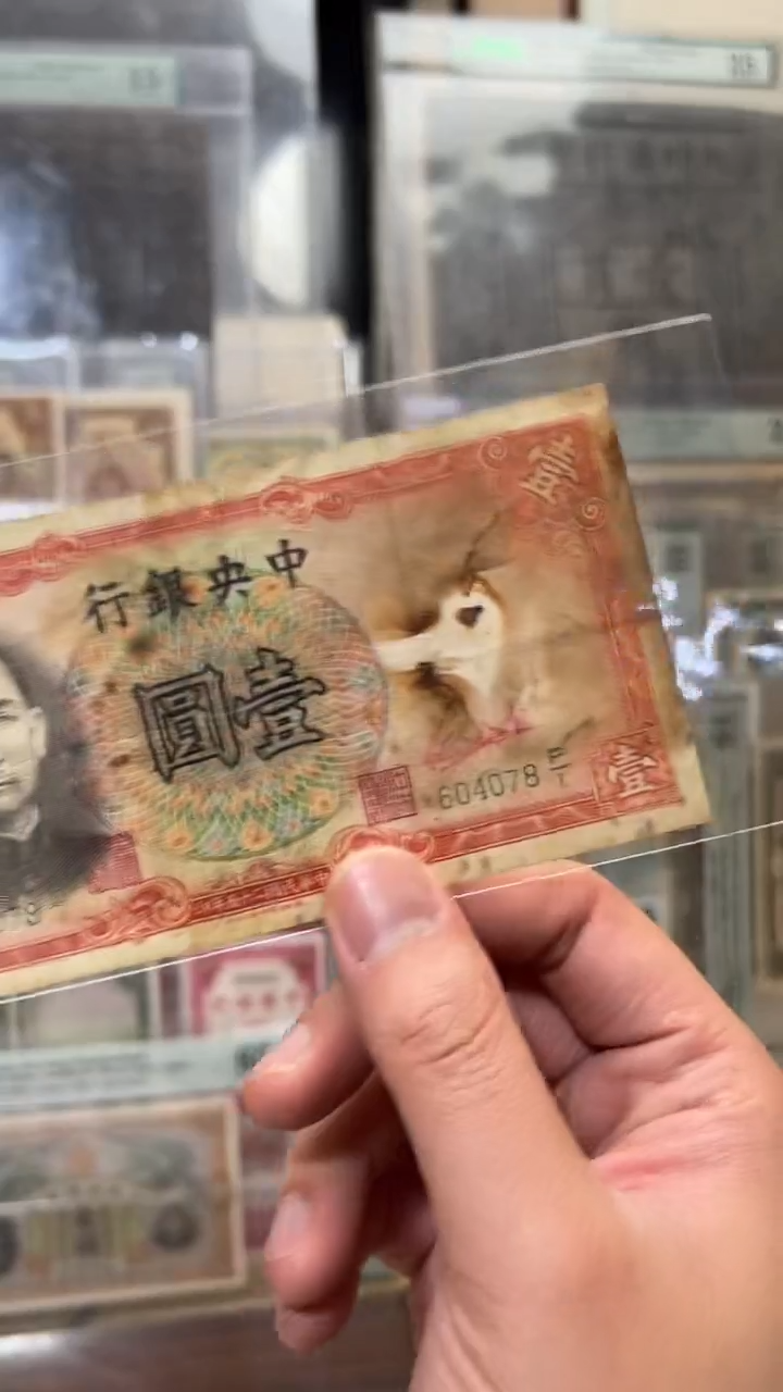 纸小马直播间包邮福利！！！染色 污渍