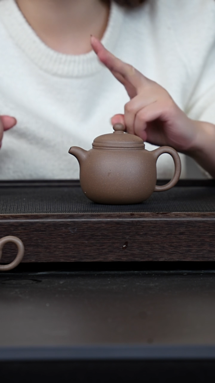 【闪购商品】紫砂茶壶鲨皮青匏尊