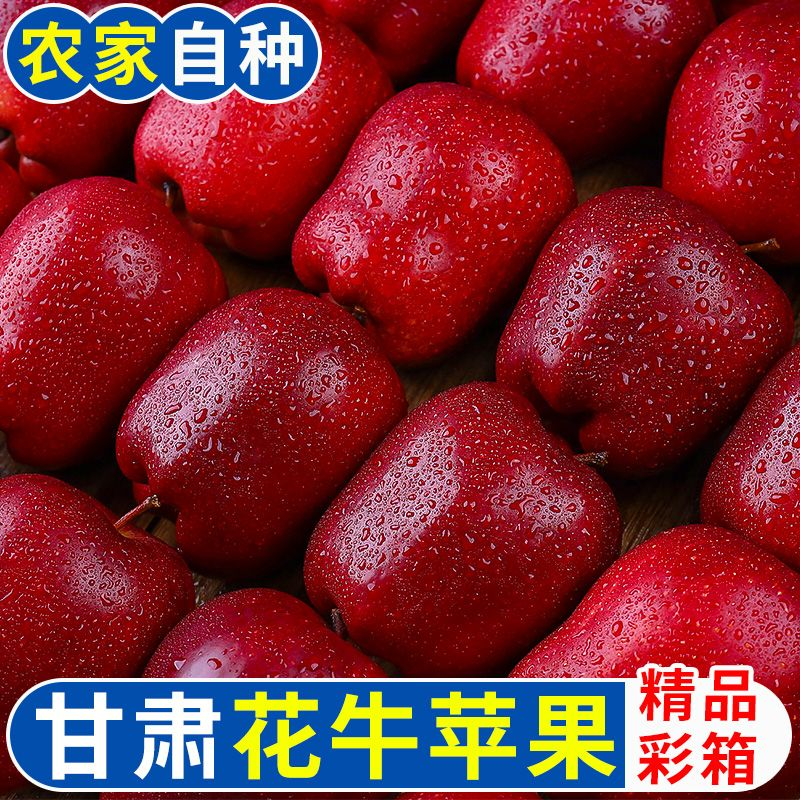 甘肃天水花牛苹果脆粉两吃新鲜红蛇果当季水果整箱包邮