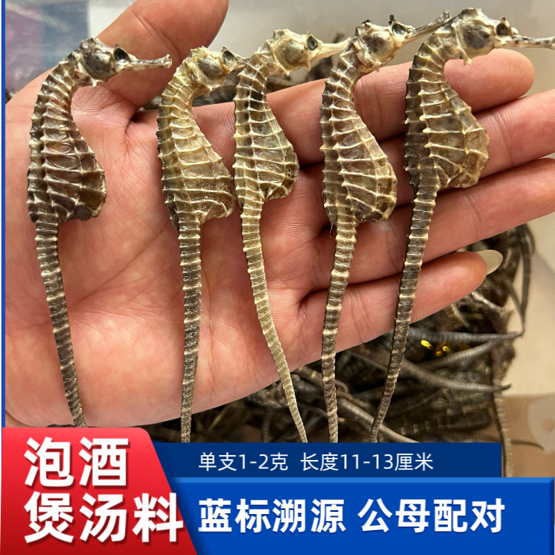 【正品保真】精品海鱼干馬马 规格1-2克 生晒足干汤包  煲汤泡酒料