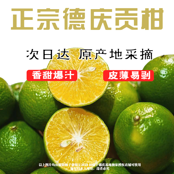 【京东次日达】广东德庆正宗皇帝柑贡柑新鲜现摘皮薄肉厚多汁当季水果广东省