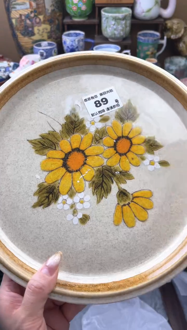 瓷片芮***i89号六六工艺品瓷器