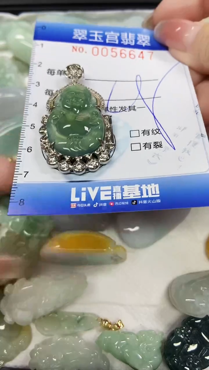【闪购商品】翡翠颈饰未镶嵌闪购商品0056647