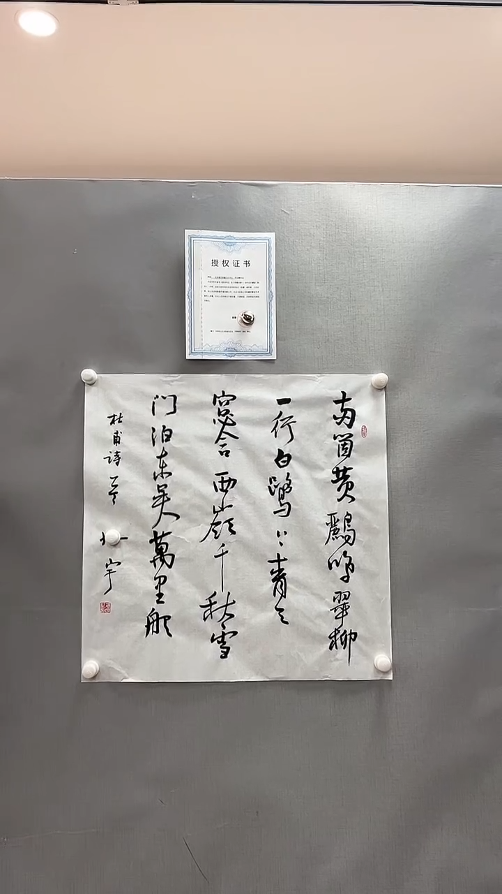 【闪购商品】书法雅艺典藏文化书法