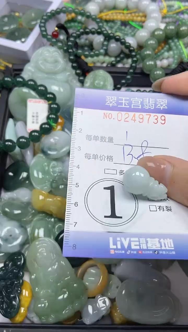 颈饰未镶嵌翡翠闪购C0249739