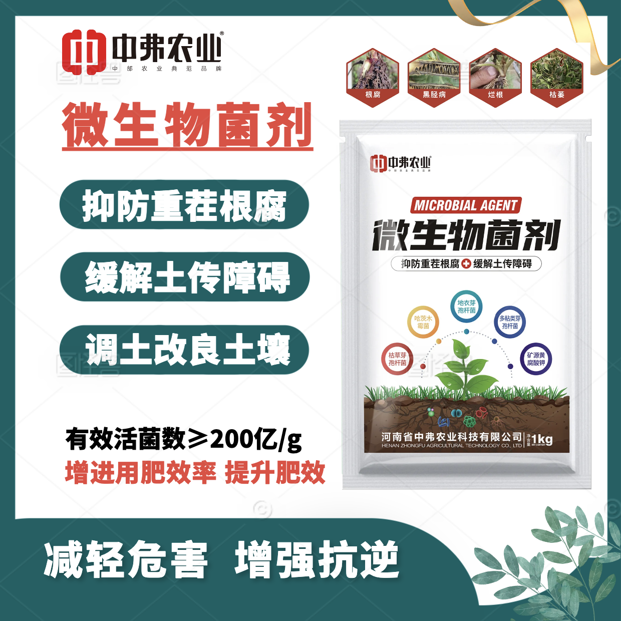 中弗【复合】微生物菌剂：抗重茬 改良土壤 减少土传 根腐 促生根