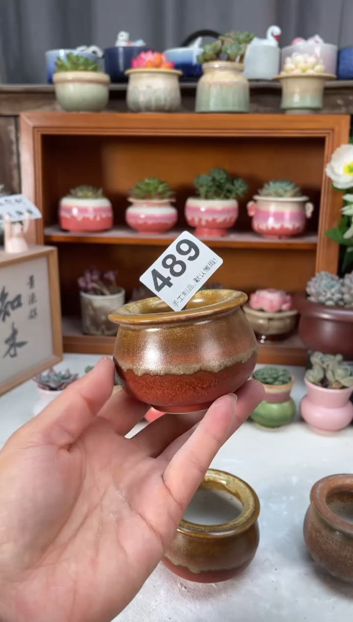 瓷片489小芳直播编号