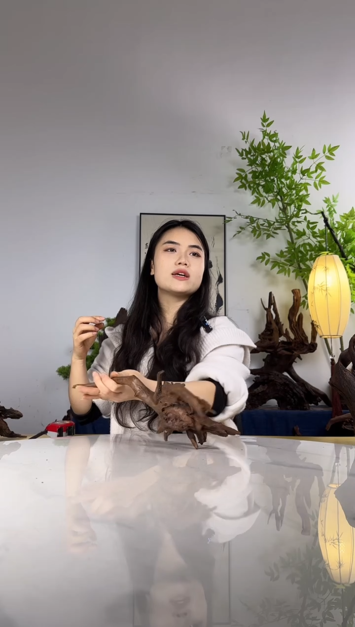 崔****弟拍沉木定向链接编号54