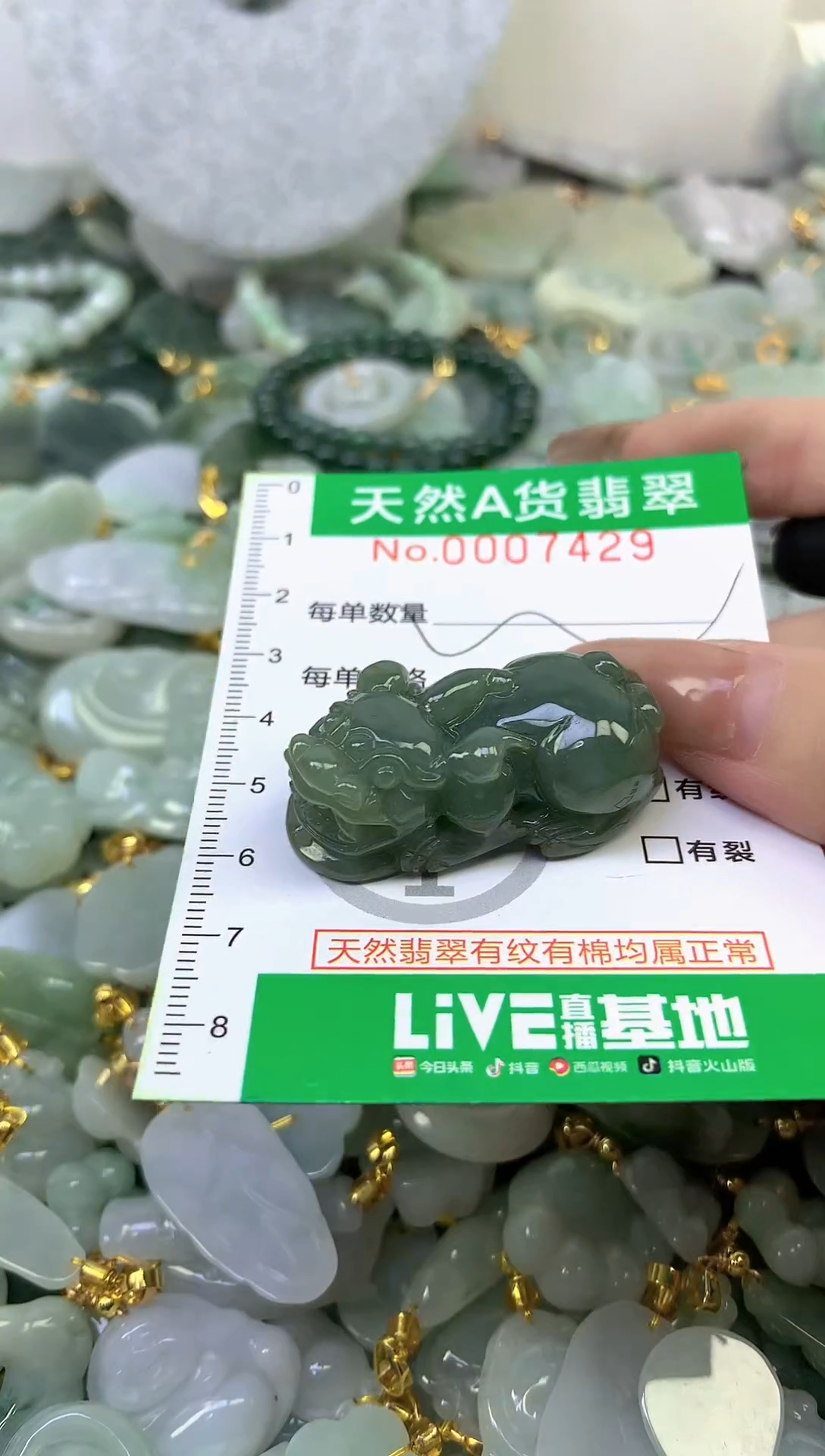 颈饰未镶嵌翡翠纯天然天然缅甸A货翡翠