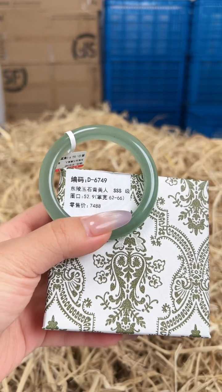 未镶嵌手镯石英质玉D-6749