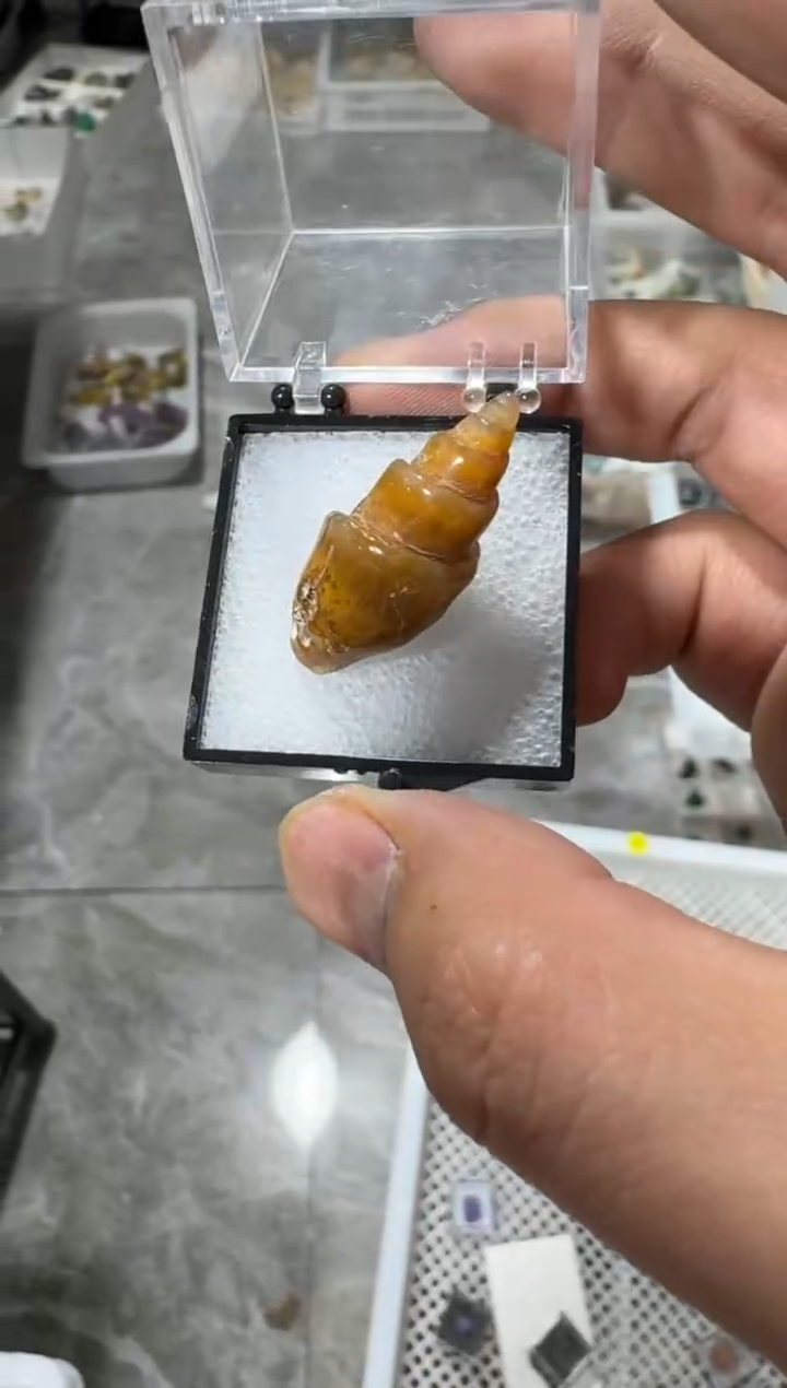 【闪购商品】月下珠宝严选矿物