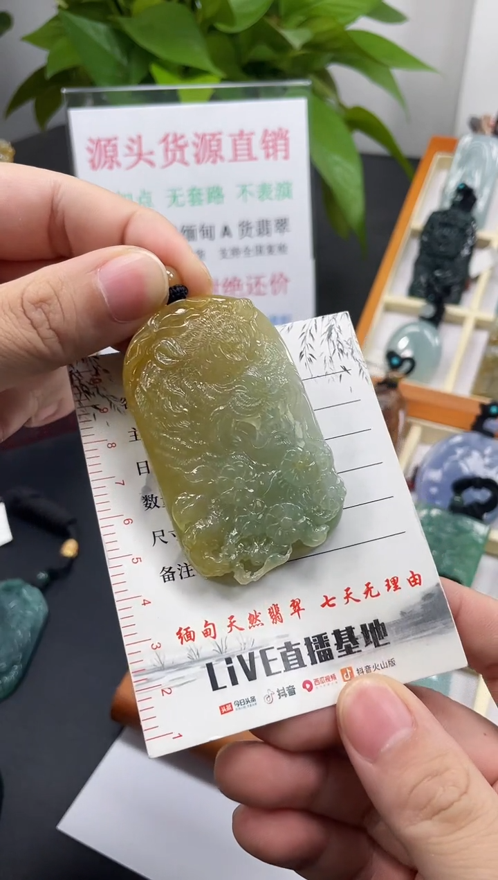 【闪购商品】翡翠颈饰未镶嵌虎