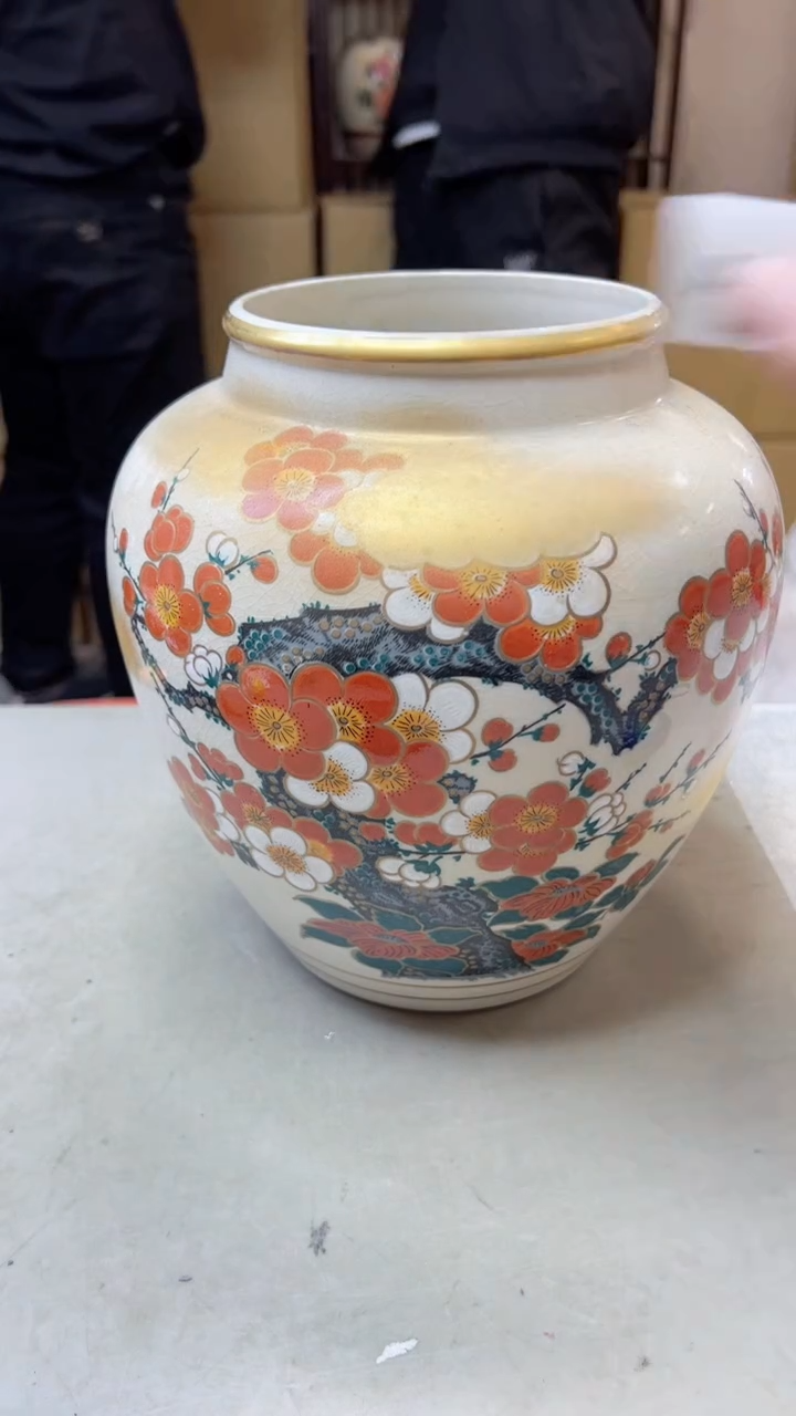 【闪购商品】瓷片662聚宝缘海淘精选