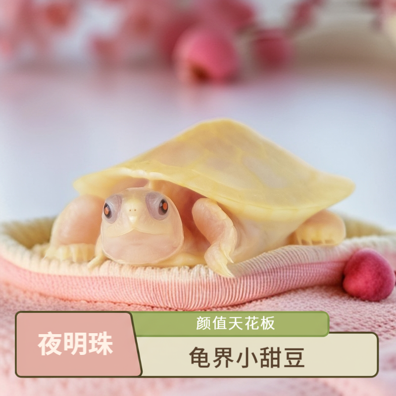 夜明珠变巴奶fufu小甜豆愈系萌龟【躺平龟同款】