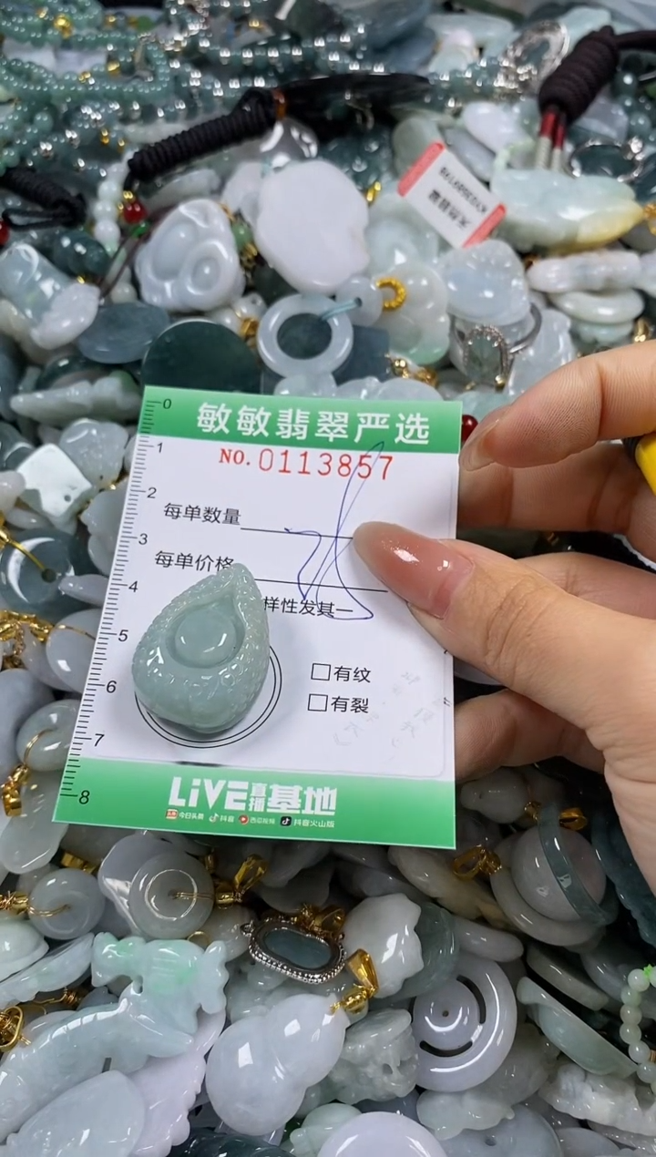 【闪购商品】翡翠颈饰未镶嵌闪购0113857