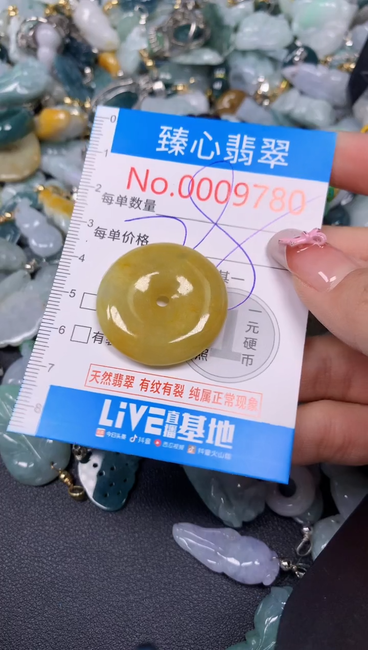 【闪购商品】翡翠颈饰未镶嵌含绳0009780