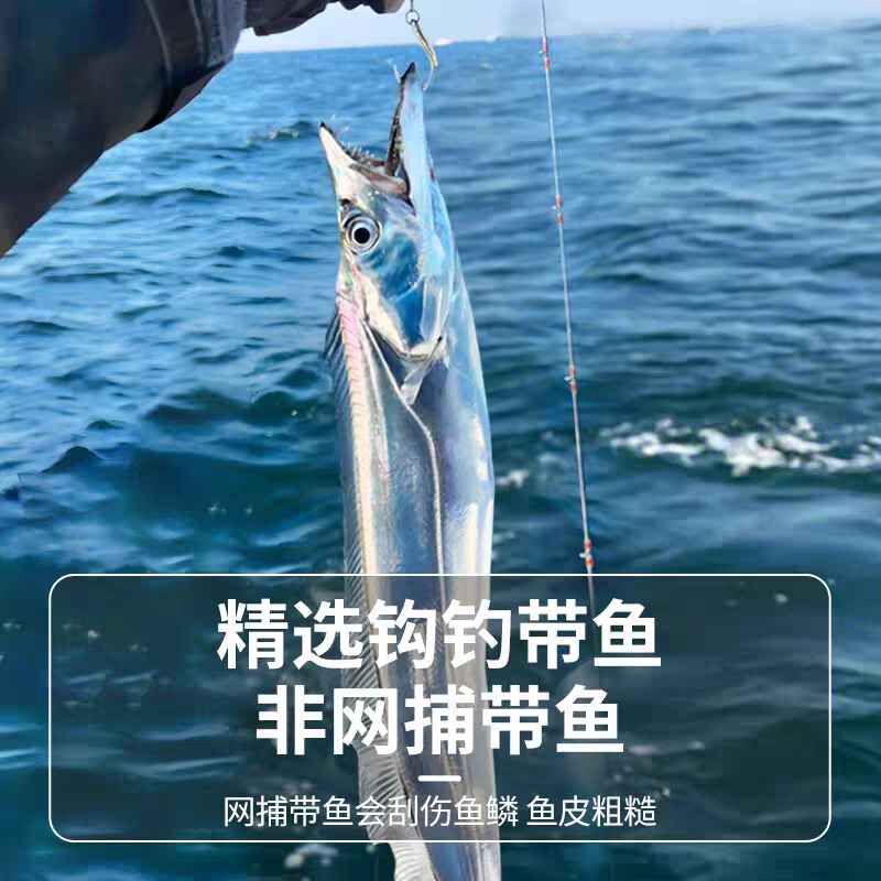 新鲜带鱼6-4两每条 发10条 五斤 无冰衣油带鱼速冻缩鲜顺丰包邮