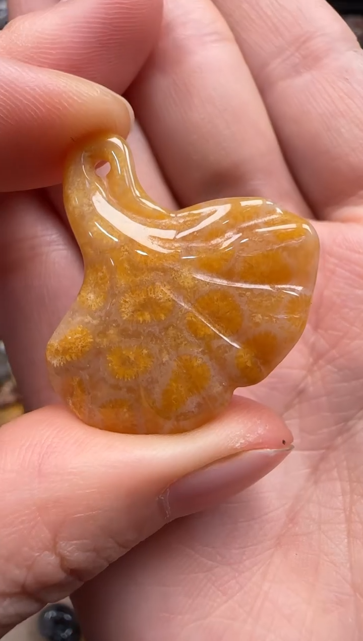 【闪购商品】硅化珊瑚（珊瑚玉）颈饰未镶嵌664