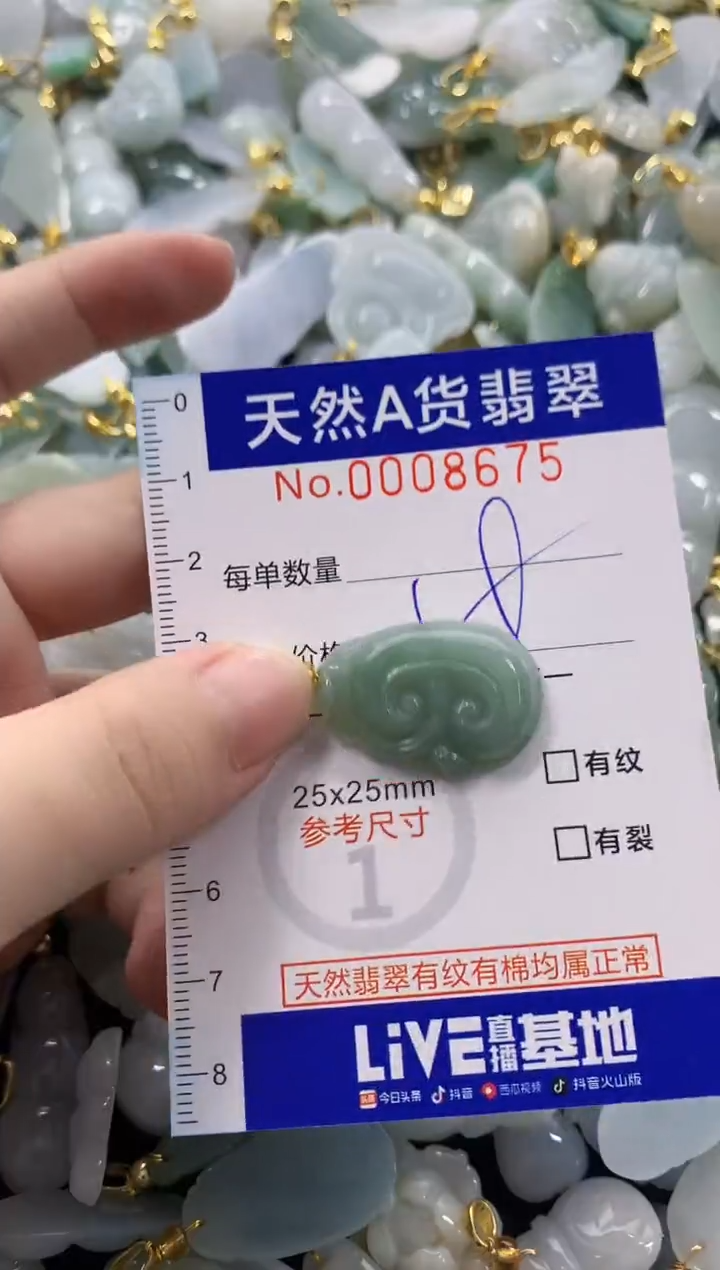 颈饰未镶嵌翡翠天然A货翡翠