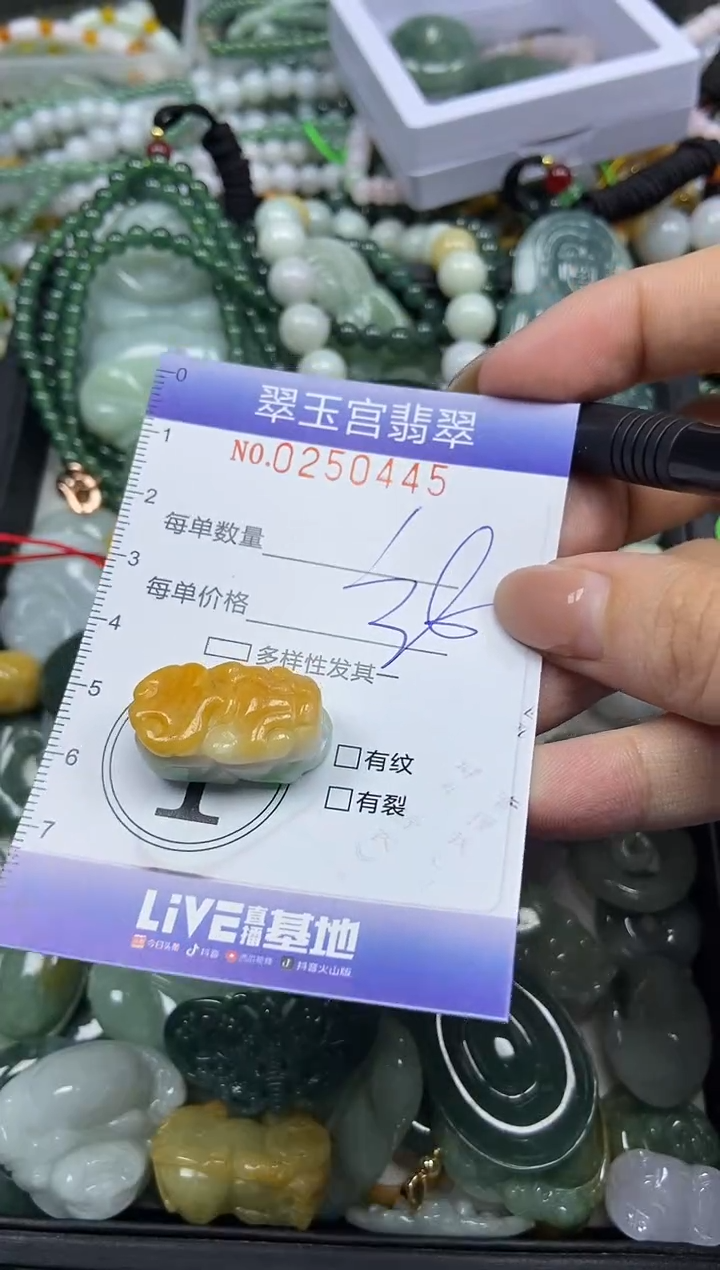 颈饰未镶嵌翡翠闪购C0250445