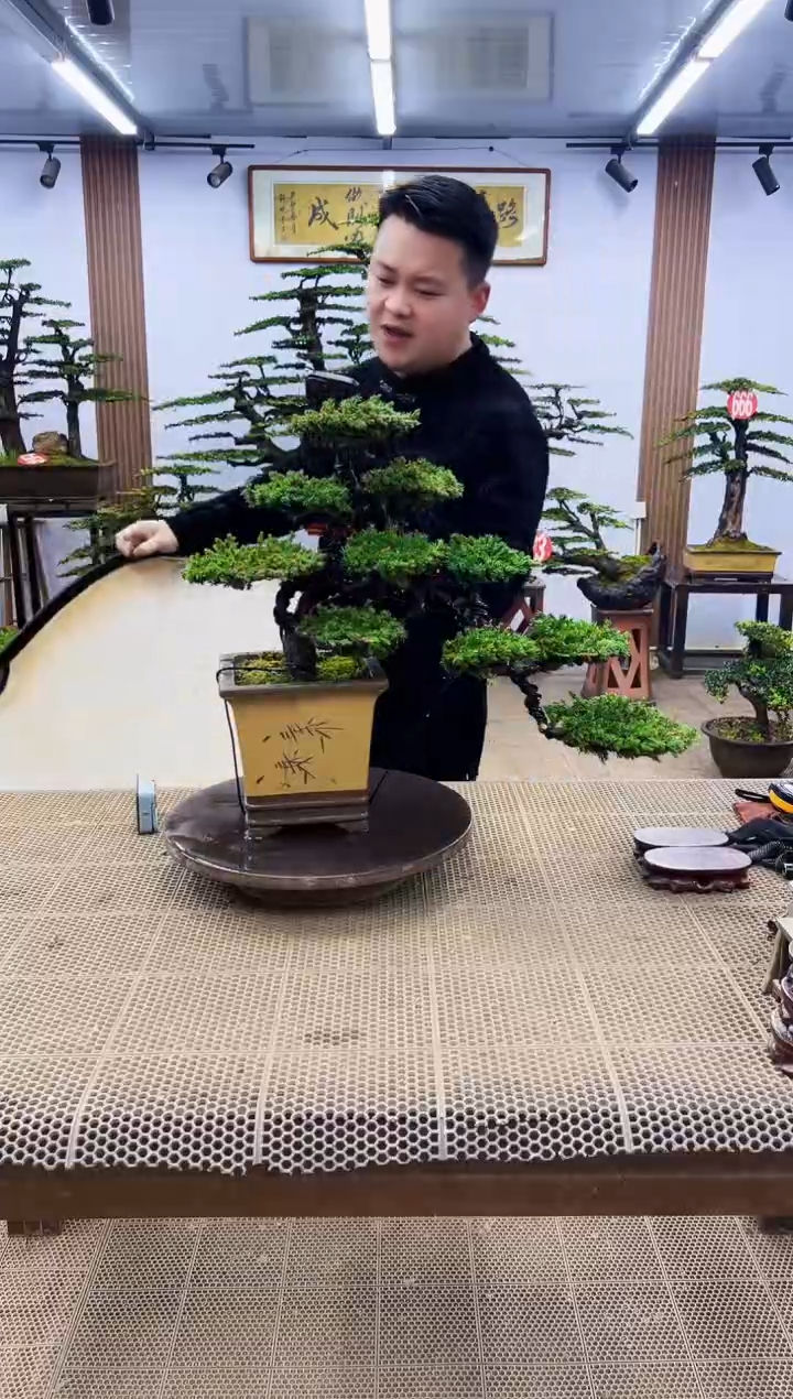 【闪购商品】00000000