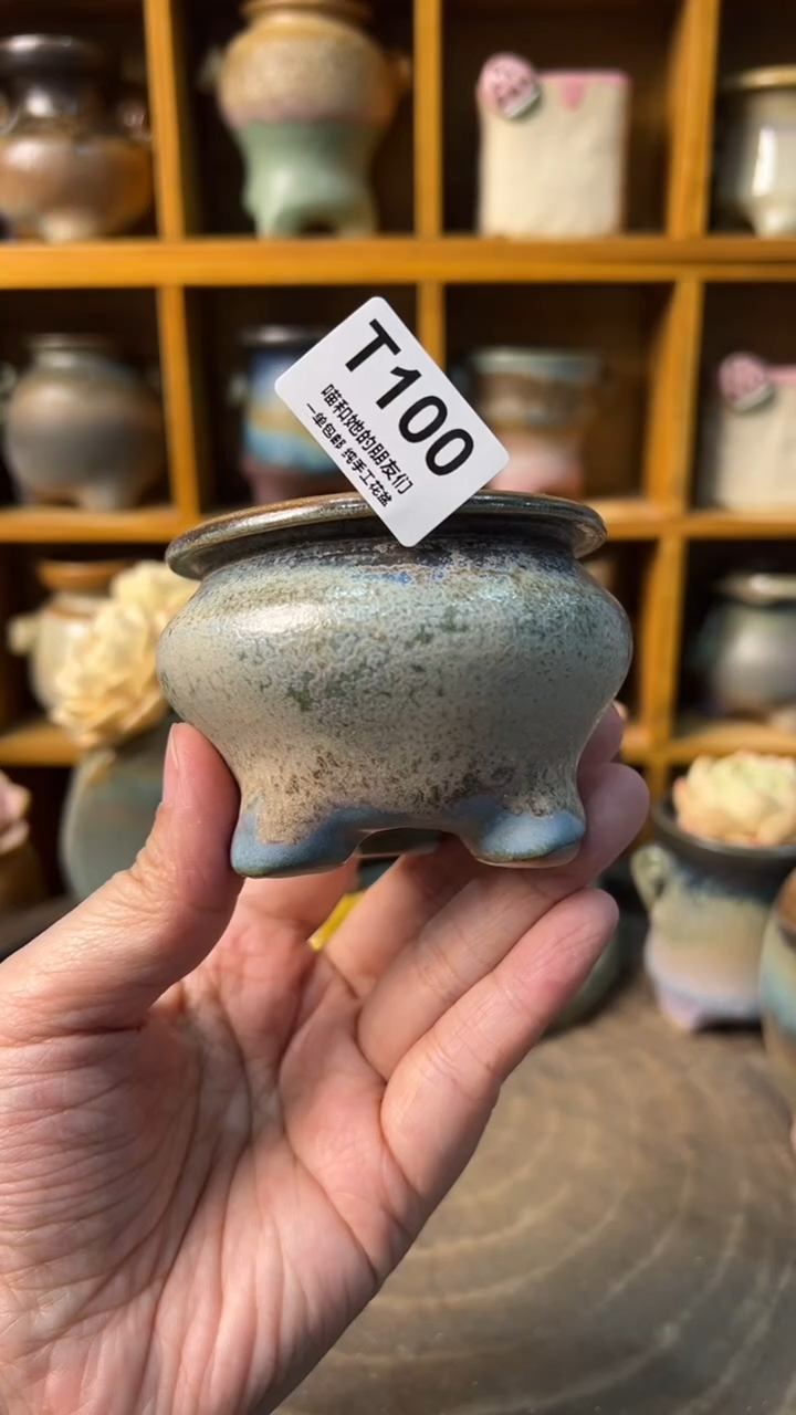 100 内口6【多肉花盆多肉盆】