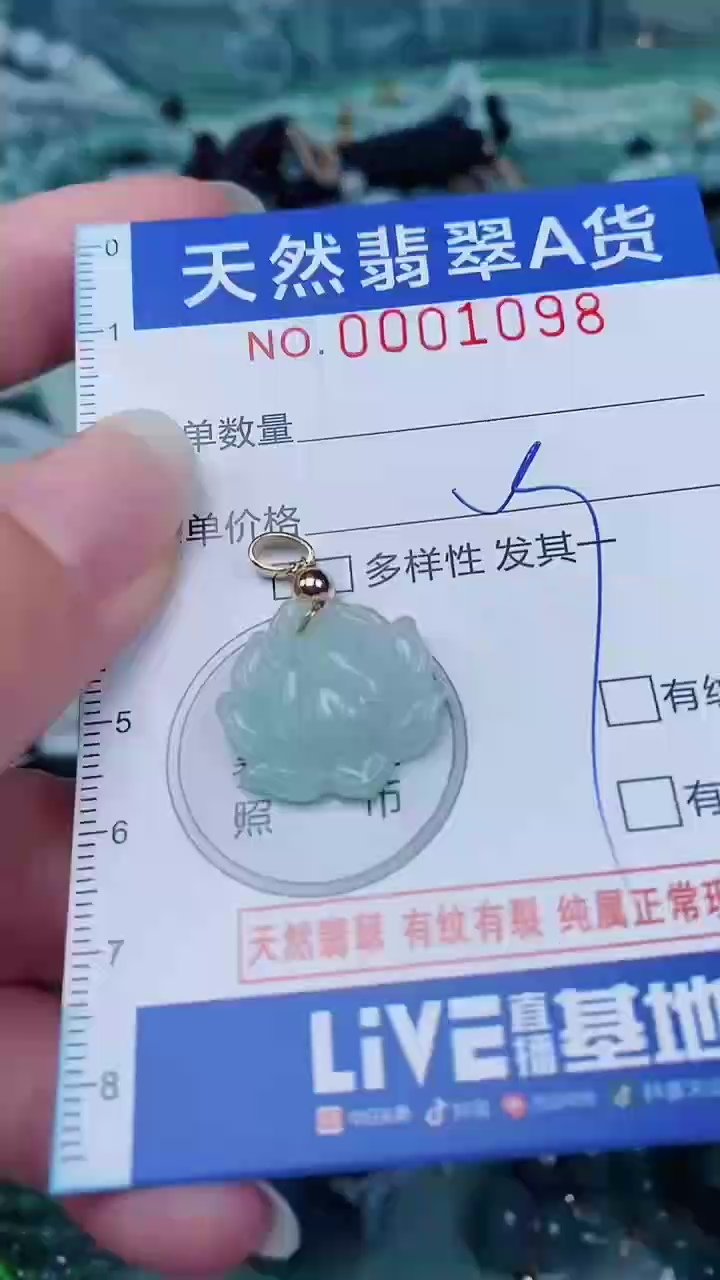 翡翠未镶嵌颈饰00001098