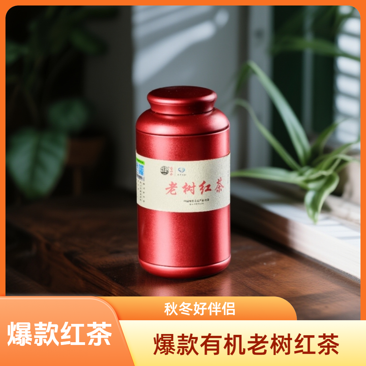 老字号有机红茶高山茶园直销口粮价格喝出轻奢感花果蜜香层层炸裂