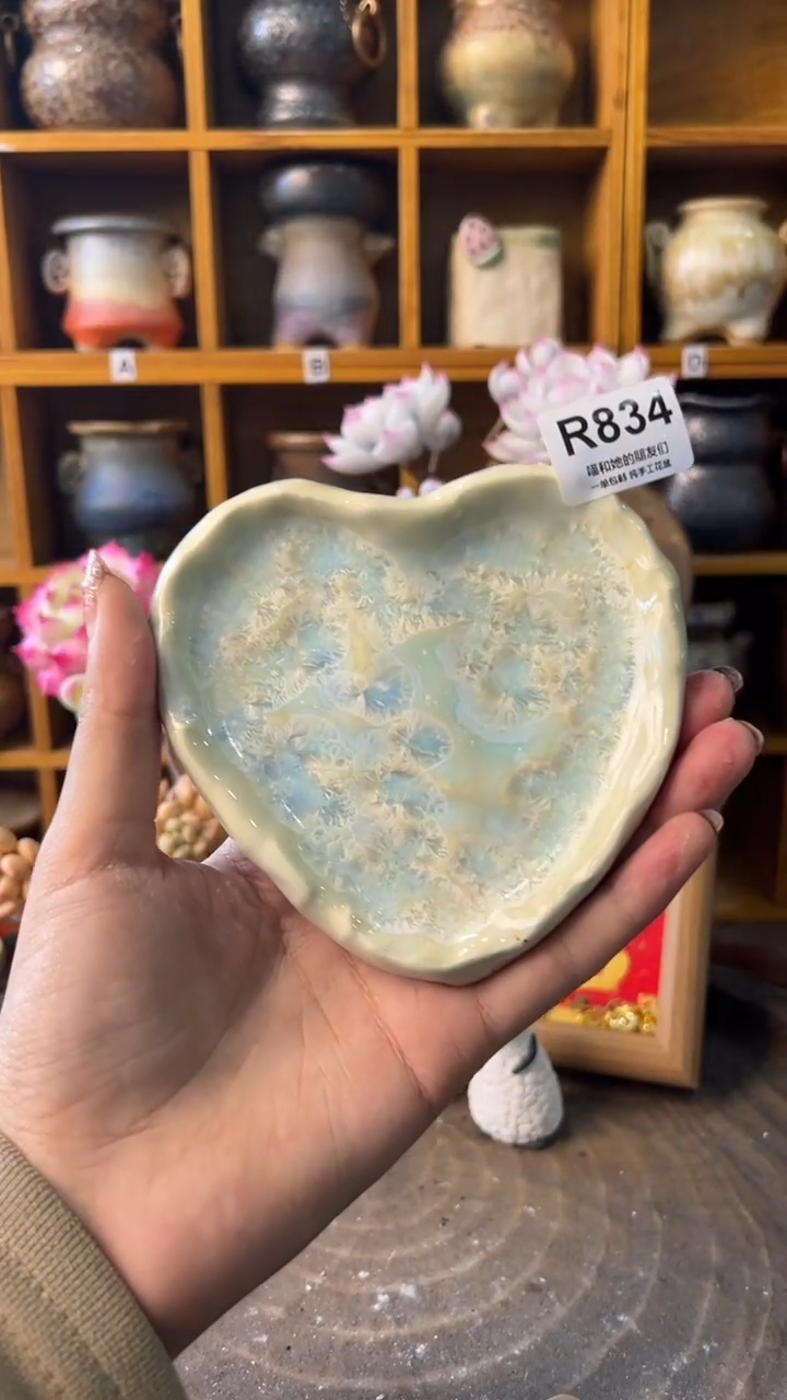 834【多肉花盆多肉盆】