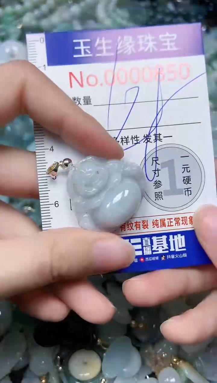 【闪购商品】翡翠颈饰未镶嵌闪购0000850