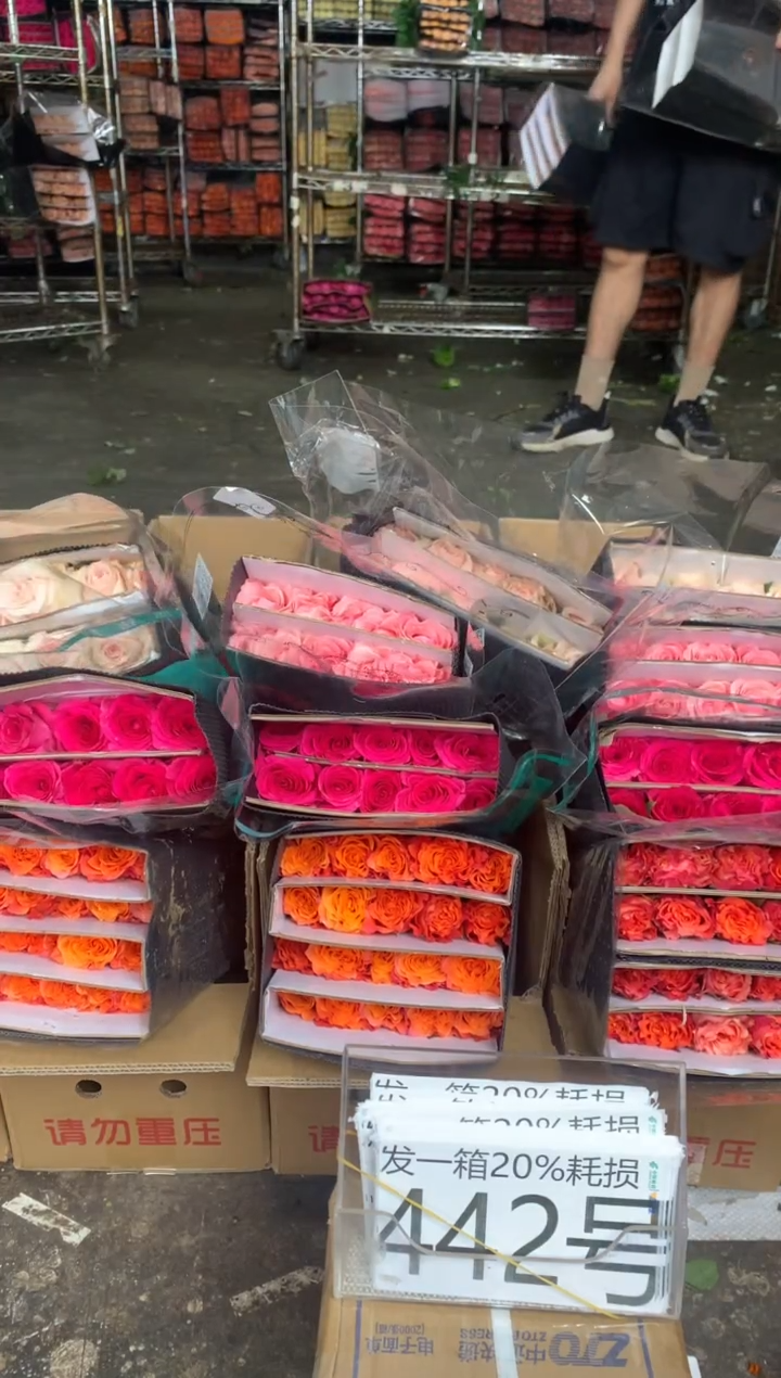 442号♥含20%耗损发一箱