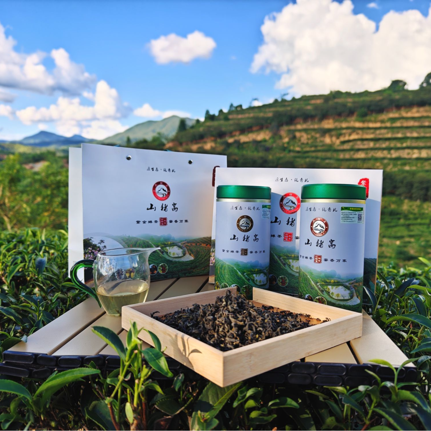 紫金山猪窝 2025福建梅占【礼盒罐装】