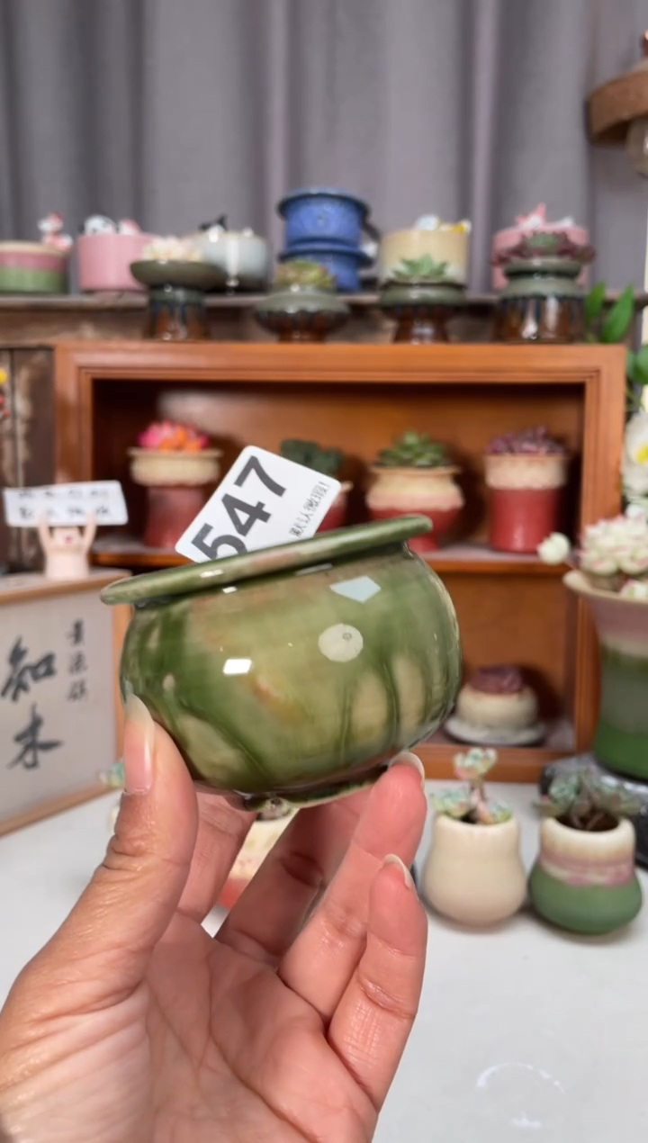 瓷片547小芳直播编号