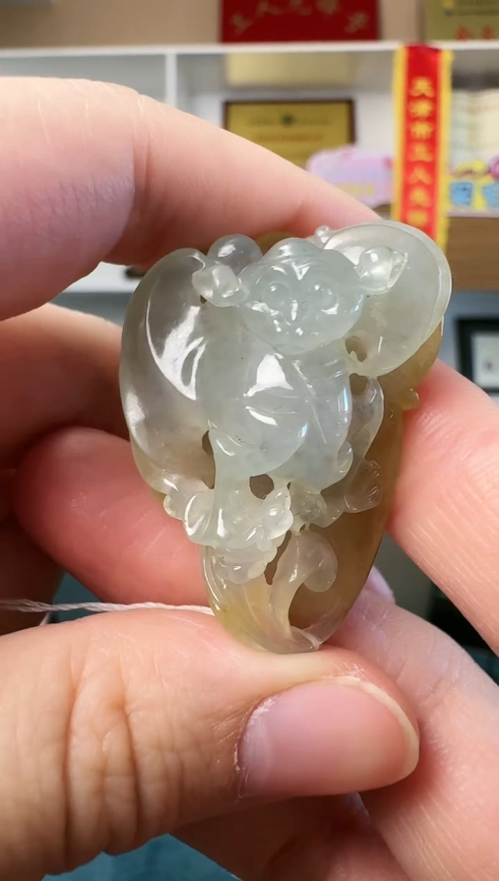 【闪购商品】翡翠颈饰未镶嵌翡翠颈饰