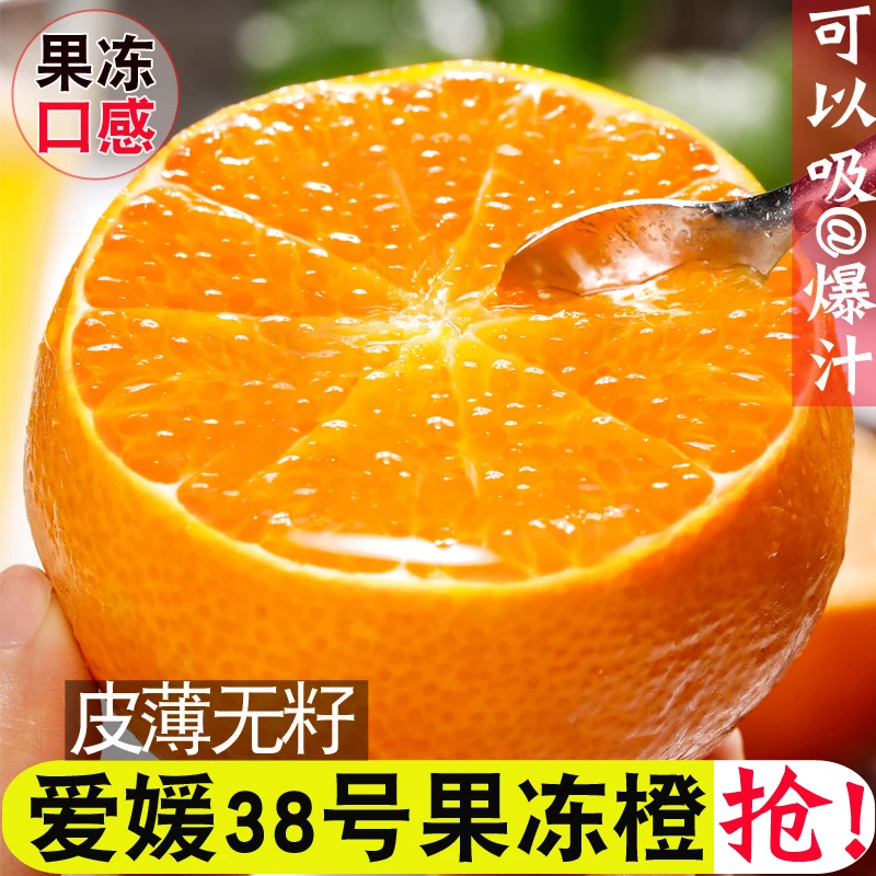 【坏果包赔】四川爱媛果冻橙3/5/8斤装水果皮薄多汁果肉细腻T【ZY】