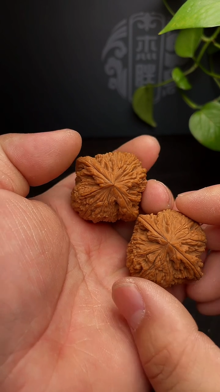 【闪购商品】文玩核桃把件老树南疆石38尺（全品，福利团）