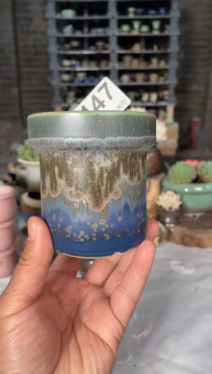 瓷片447小芳直播编号