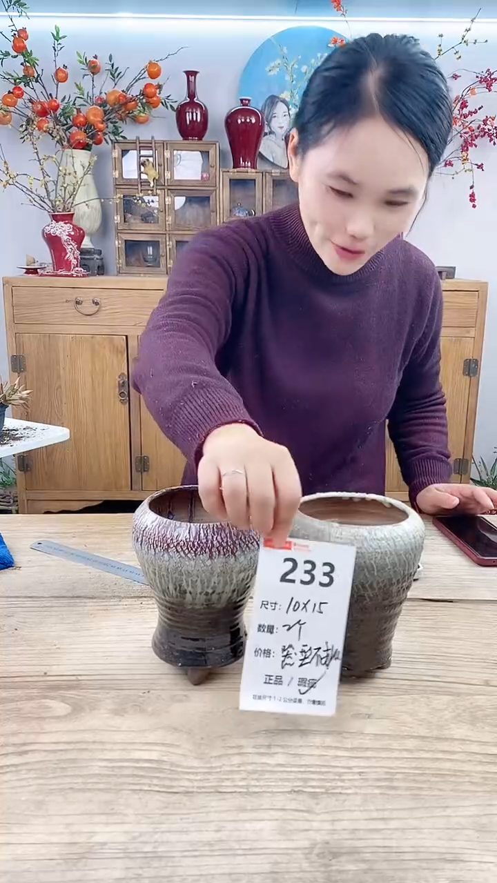 【闪购商品】红陶233