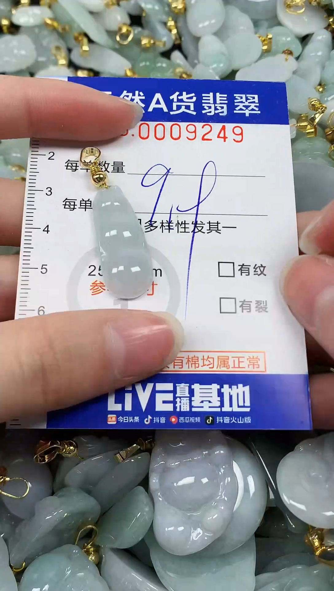 颈饰未镶嵌翡翠纯天然a货翡翠