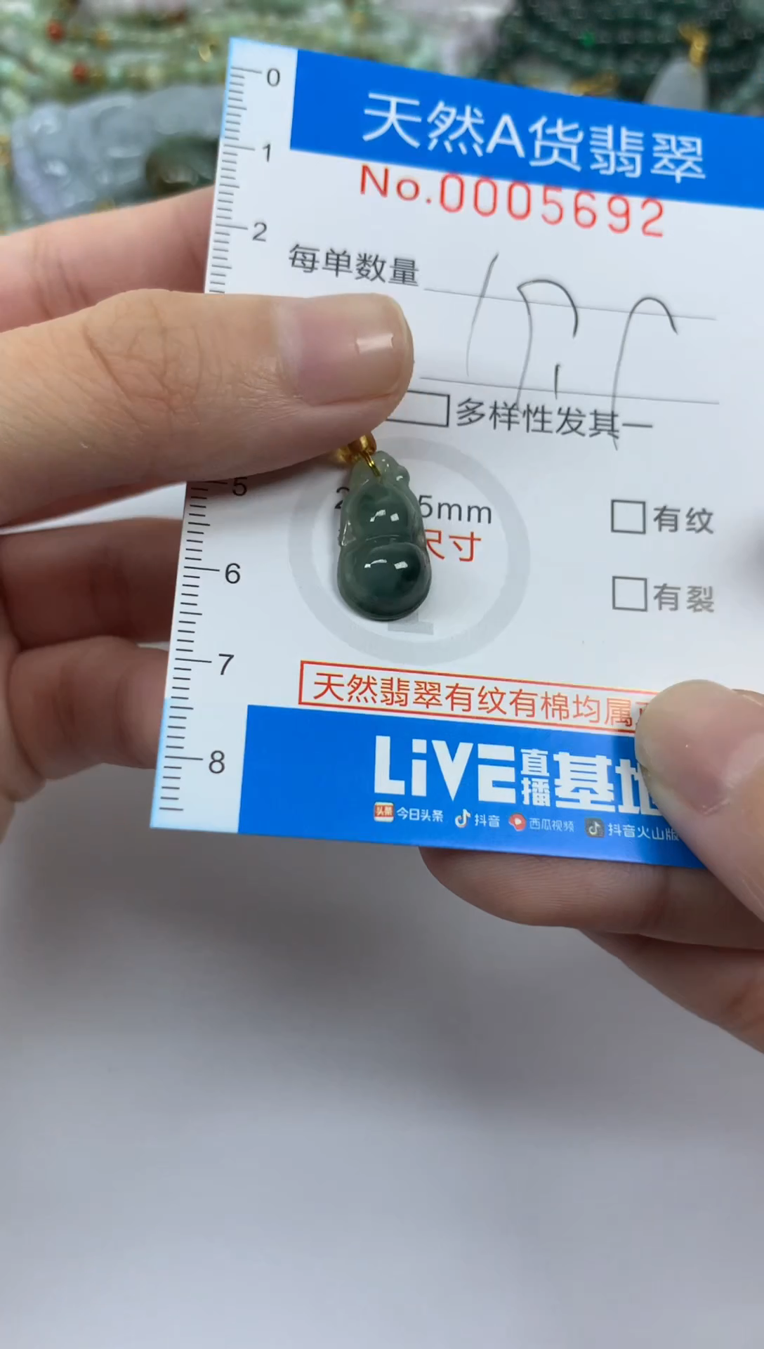 颈饰未镶嵌翡翠净货挂件-5692