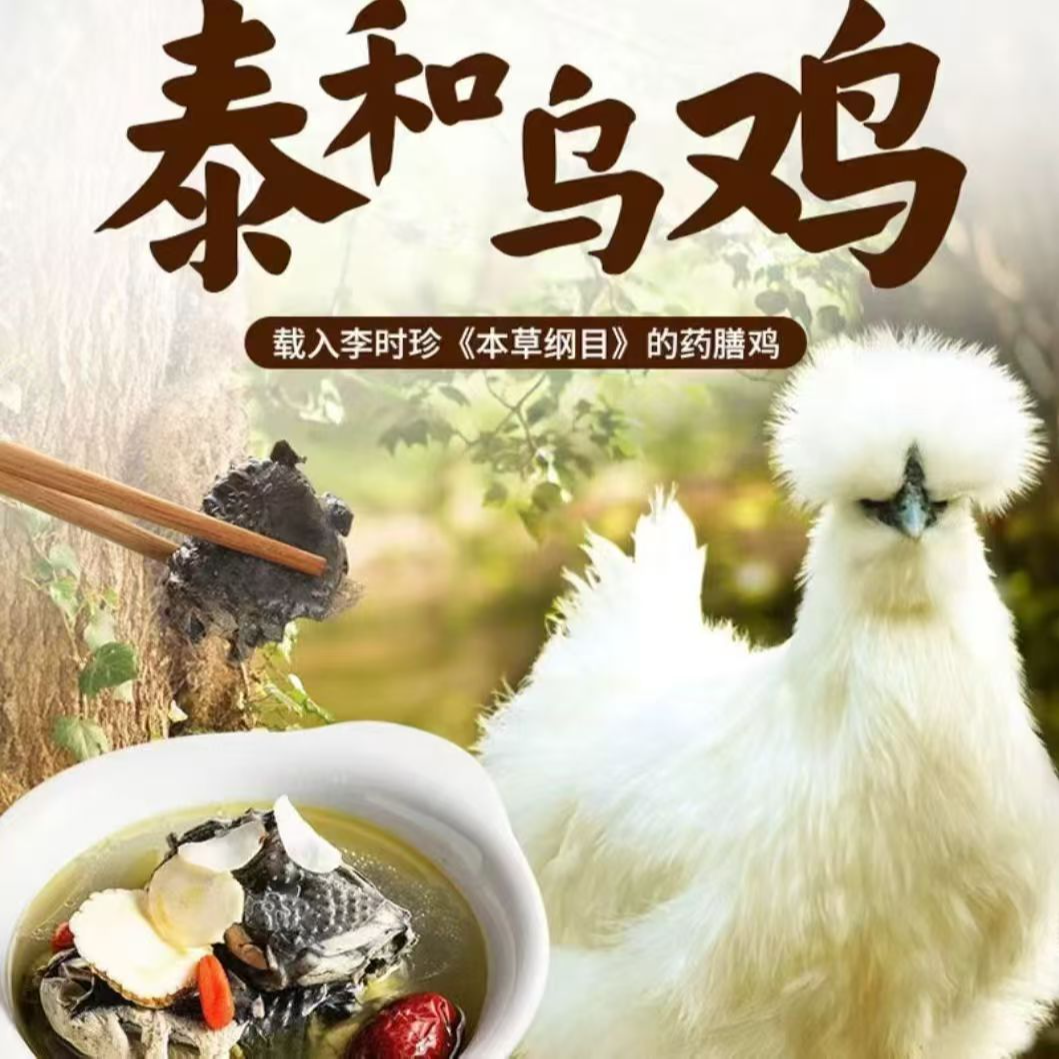 正宗原种泰和乌鸡（活动价）林下散养五谷喂养新鲜现杀  顺丰包邮  