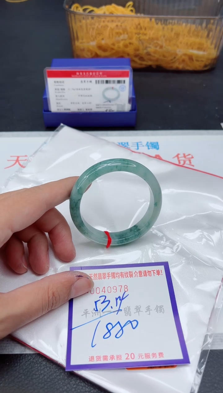 未镶嵌手镯翡翠1