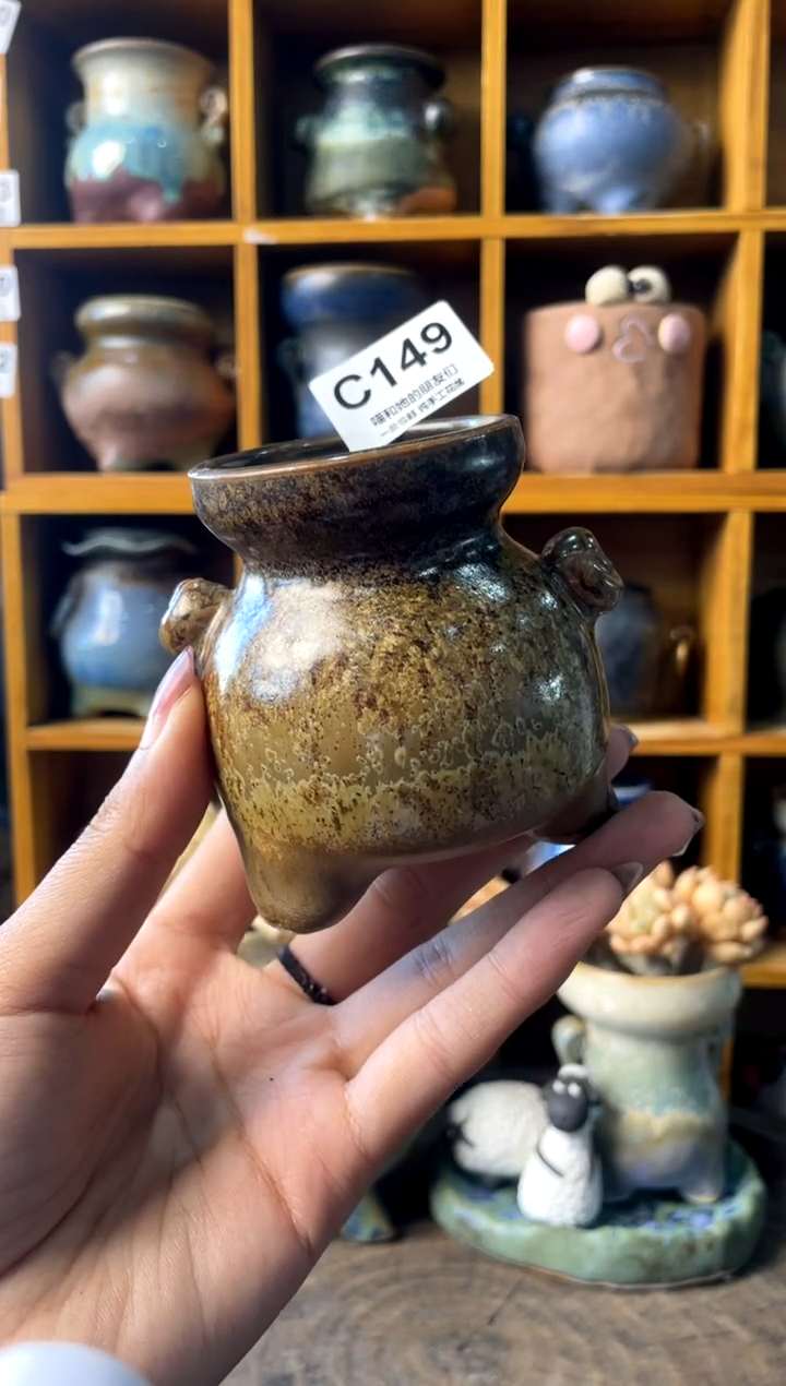 149内口5【多肉花盆多肉盆】