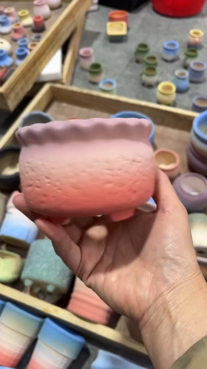 【闪购商品】红陶9*6