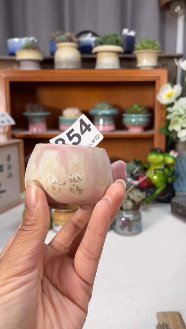 瓷片854知木小芳花盆编号