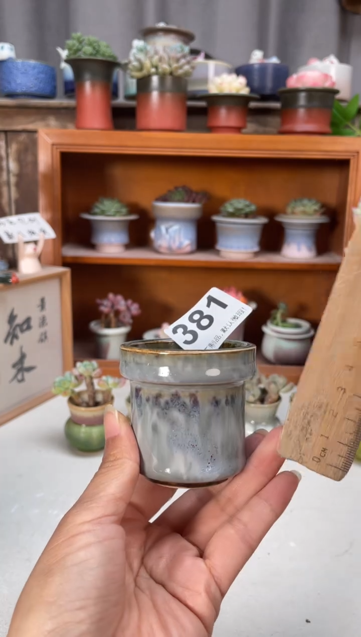 瓷片381知木小芳花盆