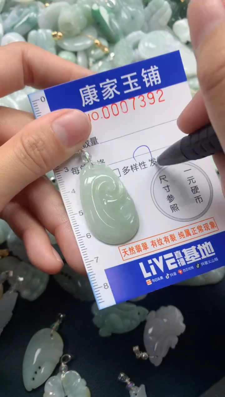 颈饰未镶嵌翡翠7392