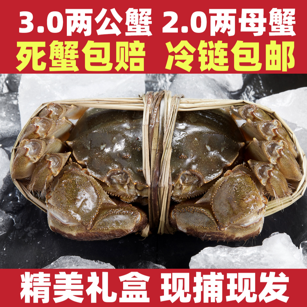 澄方圆【春节不打烊】【活蟹】精品大闸蟹公蟹3两母蟹2两6对12只装
