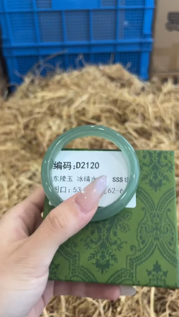 未镶嵌手镯石英质玉D2120